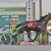 Track record tied at Hoosier Park