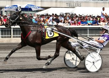 Bax hopes Duly Resolved a Wellwood success