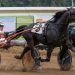 Trotting sophomores take Kentucky Championship spotlight Tuesday 4 Trotting sophomores take Kentucky Championship spotlight Tuesday