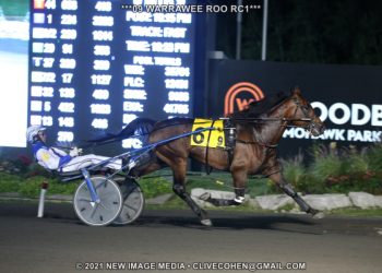 Another victorious class jump for Warrawee Roo