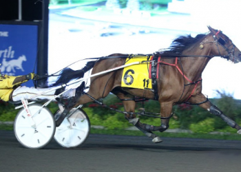 Warrawee Vital fastest by a long shot