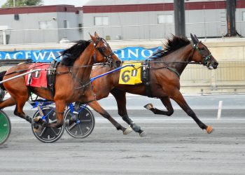 Four $20,000 DSBF splits at Harrington