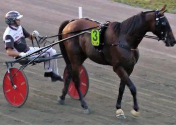 Zaccaria Bar wins Gran Premio Citta di Treviso