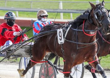 500th training win for Negus