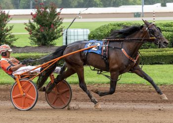 Date Night perfect in Commonwealth