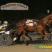 Drama in Tioga closing night feature