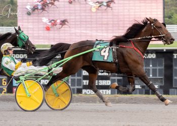 Drivers injured in accident at The Meadows