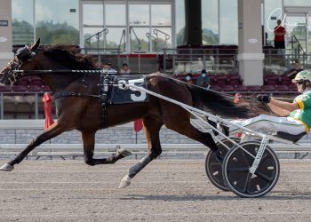 Dribbling Bi steamrolls in $62,750 Keystone Classic