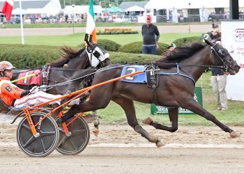 OBC splits to Rose Run Xtra and Guido Di