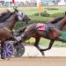Ohio Triple Crown sweep for Heculisa