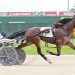 Malibu Kid too good in 1:55.4
