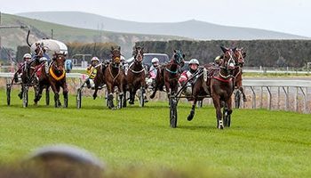 Mataderos scintillating in Group 3 annihilation