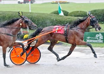 Undercard stakes on Jugette Day