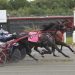 P L Notsonice cracks Plainridge trot mark