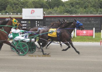 Team Kiwi N scores mild upset in top pace