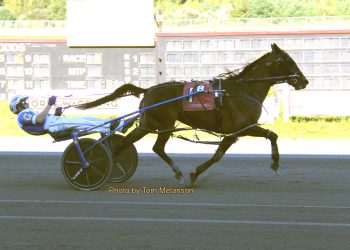 Firstup fires first-over in Winners-Over victory