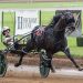 $160,000 KY Championship Series at Red Mile