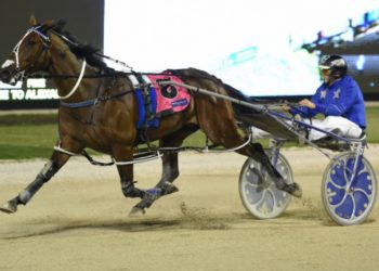 Self Assured in winning form at trials