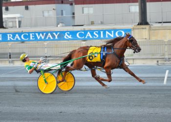 Shabby Chic sweeps DSBF prelims