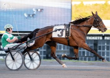 Meadows NAADA Trot to Tom Svrcek