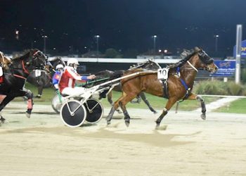 Standardbred auction will end tonight