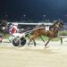 Standardbred auction will end tonight
