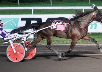 When Dovescry takes flight again