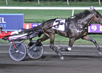 B A Superhero enjoys pocket-trip triumph