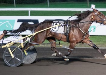 Five each for Sears and Burke