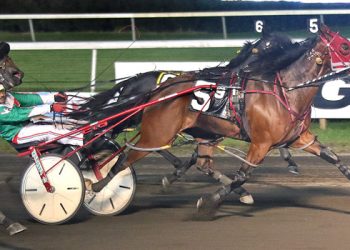 Vettel N still king of Big M claimers