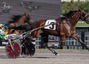 Wild Wild Western lassos third straight