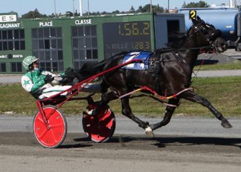 Bombardier Pace no problem for Sunjet Ray