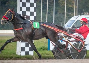 Express Jet wins at Gelsenkirchen