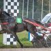 Express Jet wins at Gelsenkirchen