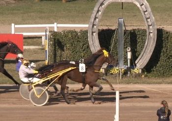 Bo Capar wins Postyen DIJ at Kincsem Park