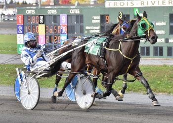 T C Scandal likes the view at Hippodrome 3R