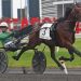 Ecurie D shows ’em how its done in Breeders Crown