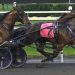 Ocean Rock upsets in Breeders Crown Open Pace