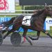 Bella Bellini ends up best in Breeders Crown