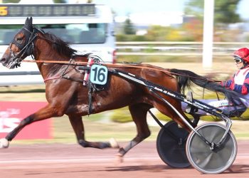 Cleangame scores in 100,000€ Grand Prix Anjou-Maine
