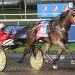 Joviality S wins $600,000 Breeders Crown in photo 2 Joviality S wins $600,000 Breeders Crown in photo