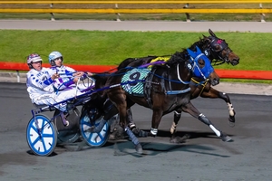 Queensland harness racing wrap
