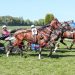 Methven Cup win to Cranbourne