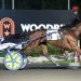 The $1.8 million Super Finals at Woodbine Mohawk Park