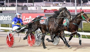 Dandy Patch winner ready for next test