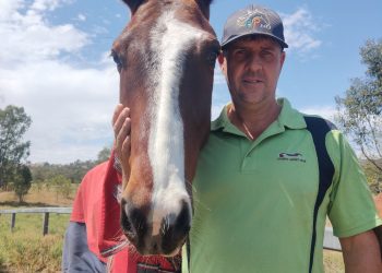 “Mr Fixit” comes to the fore again