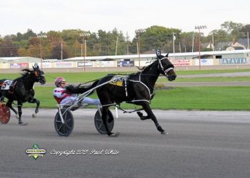 American Zest A makes quick work again in Open