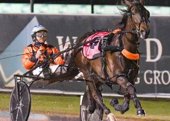 Star filly sends a stern warning