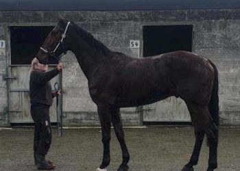 Nine lot auction will end tonight