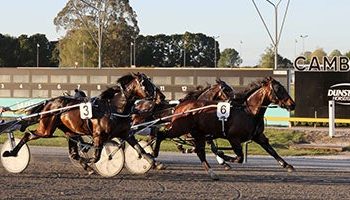 Blameitonthenight remains undefeated